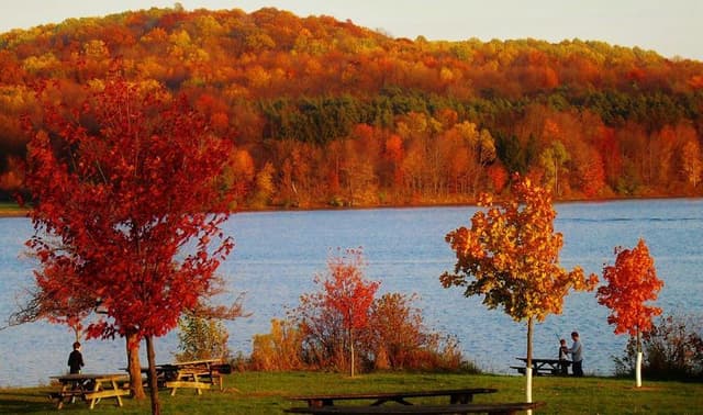 fall color on a lake