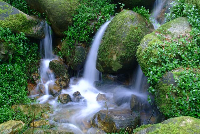 a small waterfall on a forest stream